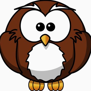 Owls – R – Us – Saturday 11th June 2016